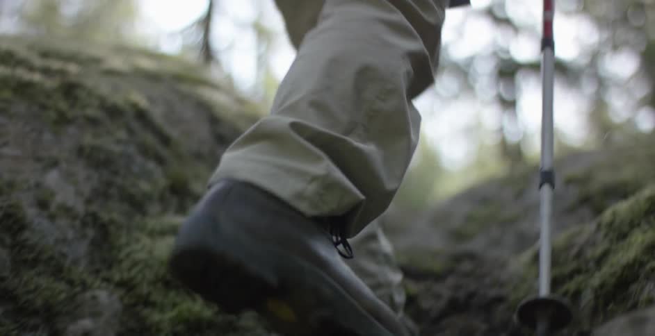 Man hiking in the woods