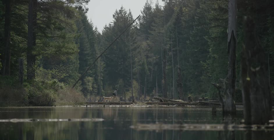 A man and dog crossing a bridge over a body of water that is surrounded by pine trees