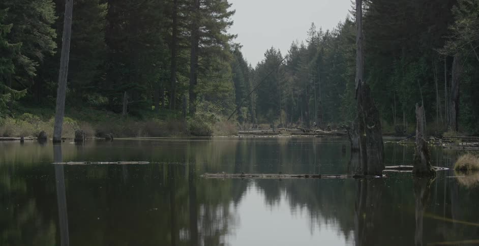 Man and dog cross at far end of lake