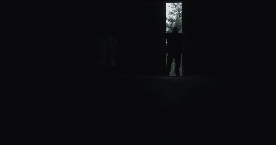 Person opens double doors and looks outside