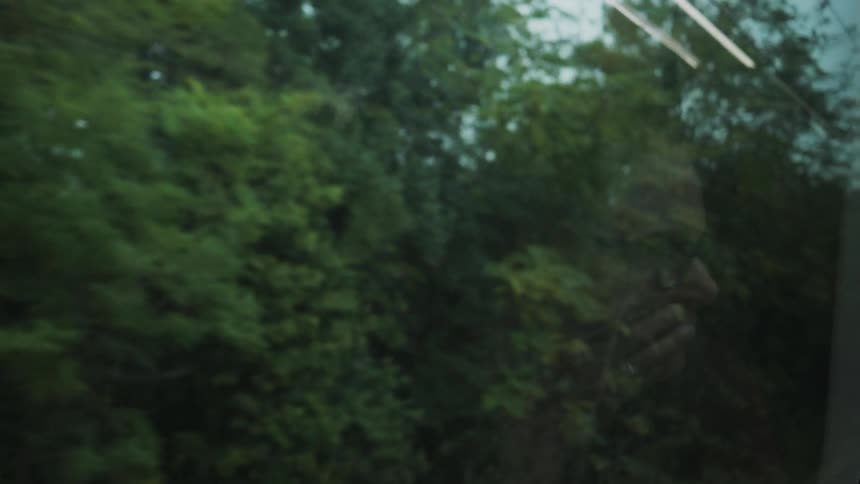 A person's face is reflected in the glass as they drive by trees
