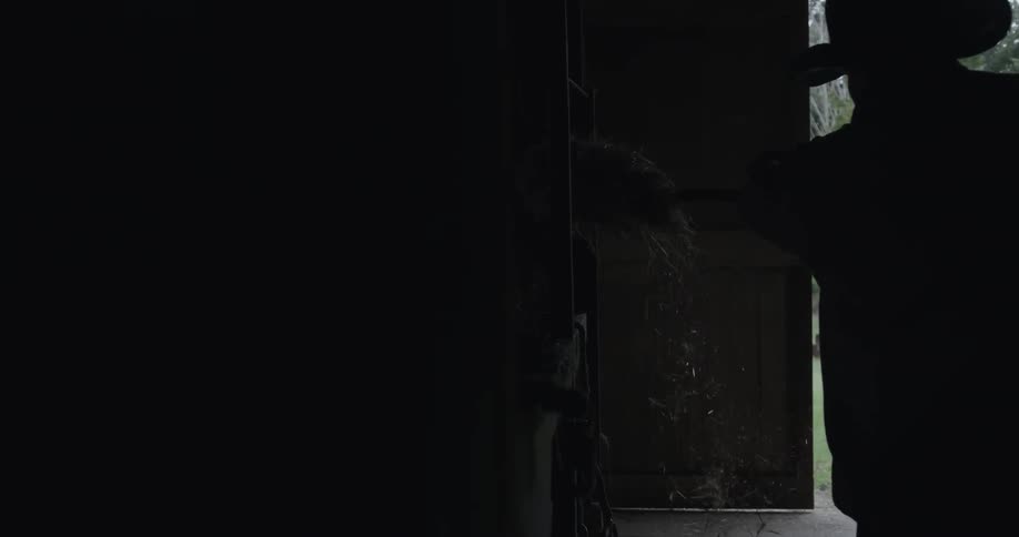 A man shoveling hay inside a barn to the animals