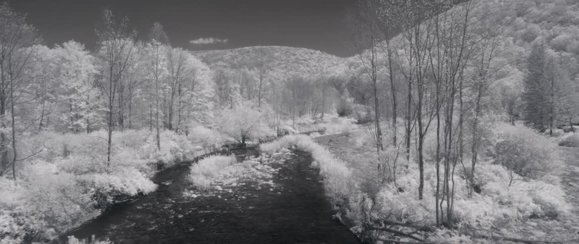 A river cuts through a frosty forest