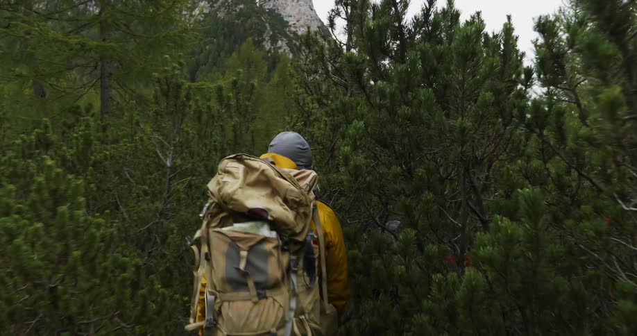 Man wearing backpack hikes through trees