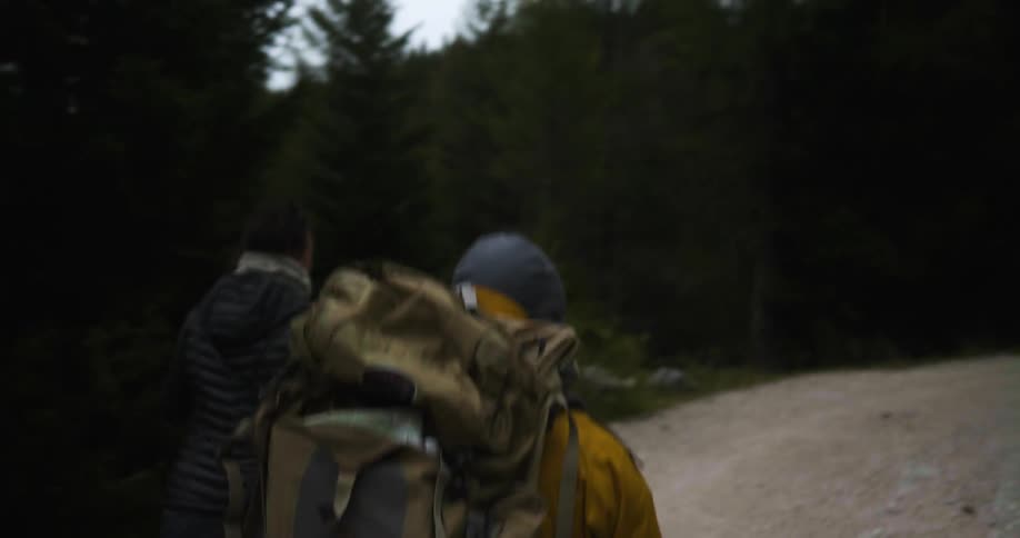 A few people hiking on a trail through some woods