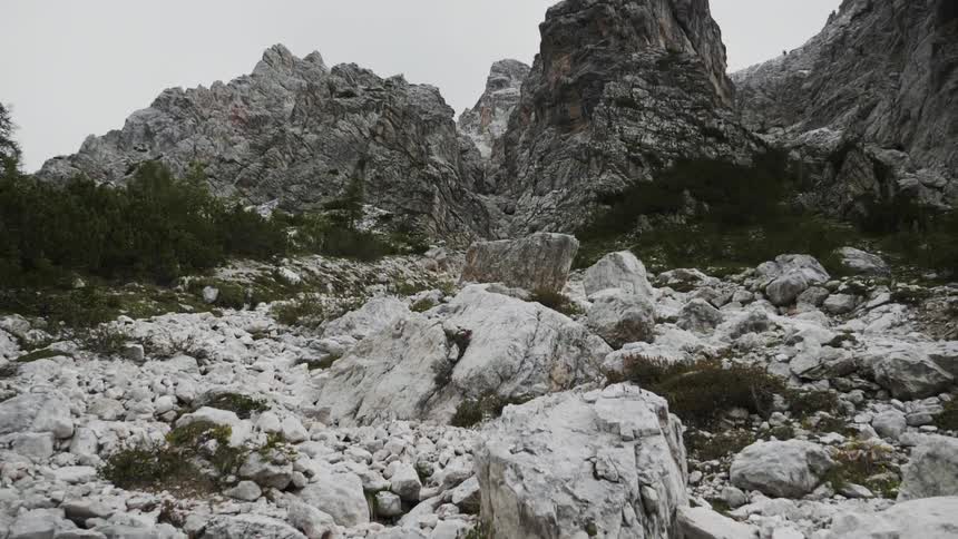 Large rocks and mountains covered with snow and some trees
