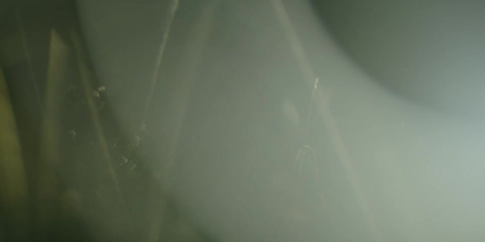 Spider web being hit by sunlight