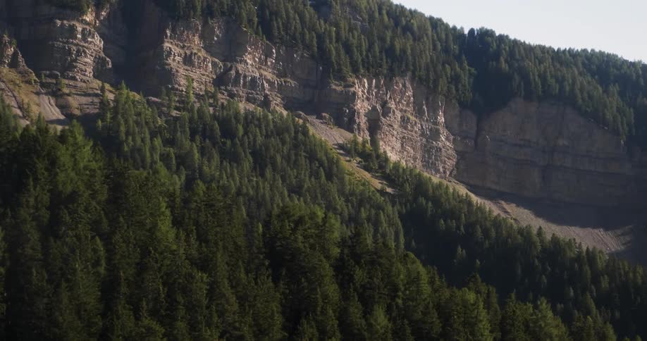 Tree covered cliffs on a sunny day
