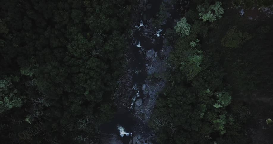 A creek runs between rocks in a gully in a forest