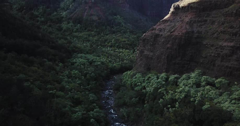 A river cuts through a forest at the base of a mountain