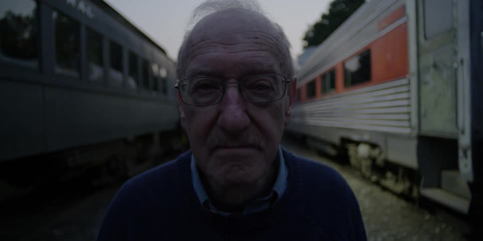 A man stands between two train cars