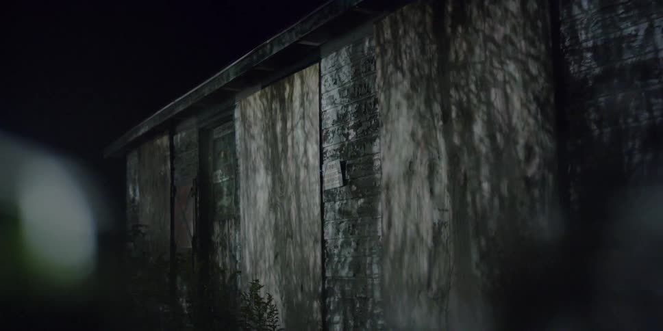 Shadows of trees across an older building at night