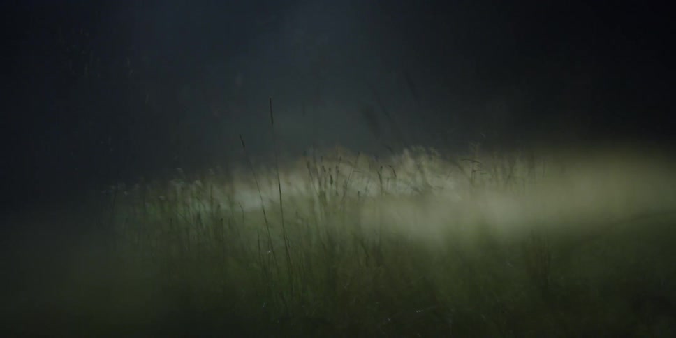A light shines on grass in a field and then goes out