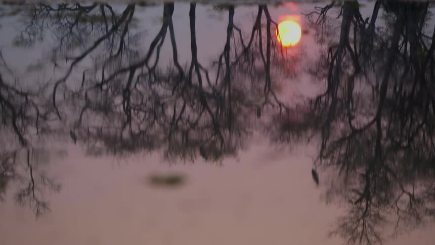 The rising sun and barren trees are reflected in a lake