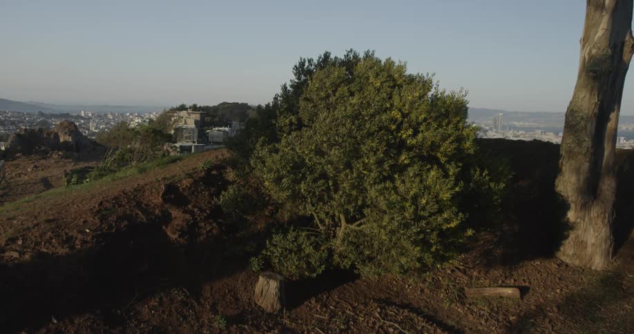 Just over a hill, lies a large sprawling city