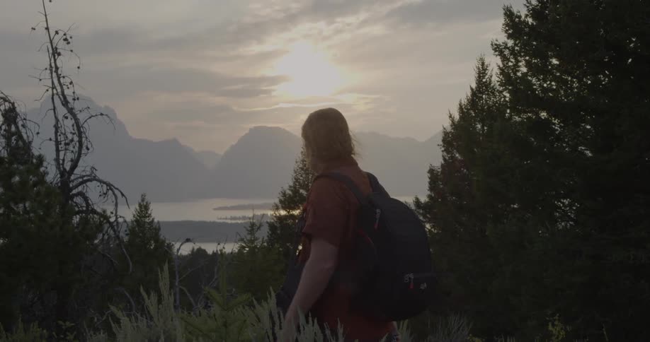 Person wearing a backpack walks through the woods