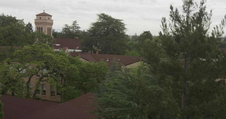 View of some buildings nestled in between some trees