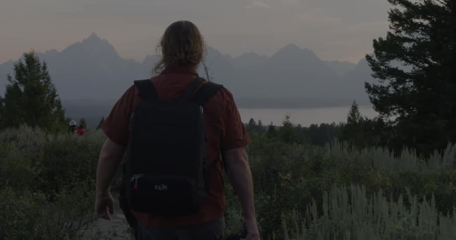 Person wearing a backpack walks through tall grass and trees