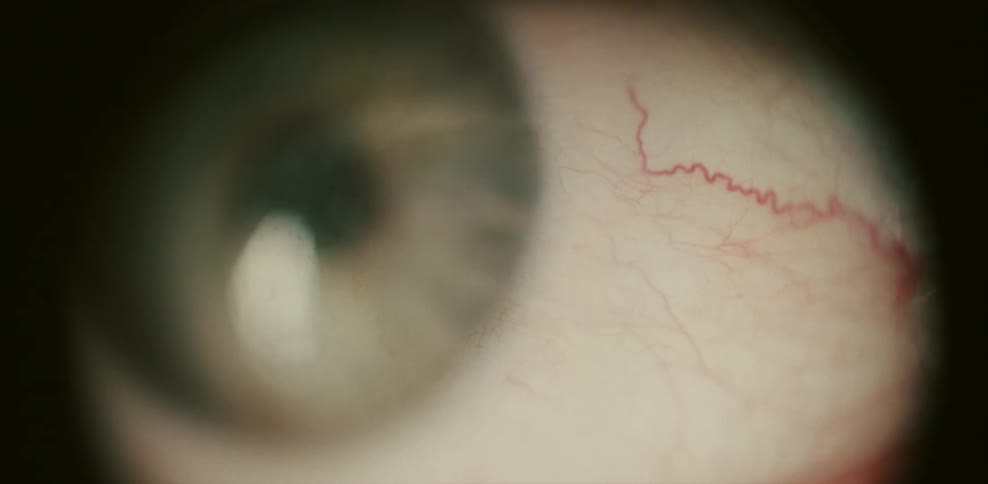 A person's eye is green and looking to the side