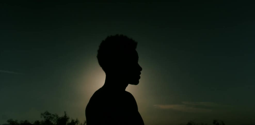 Silhouette of a woman standing in a field