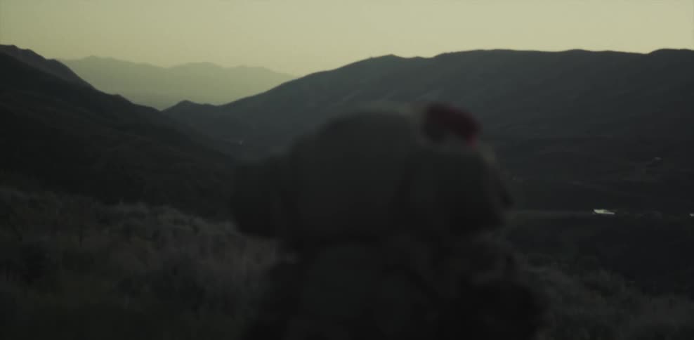 A man stands still looking at the mountain ahead