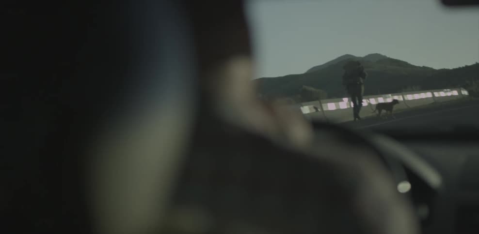 A person driving a car passes a man and dog hiking along the side of the road