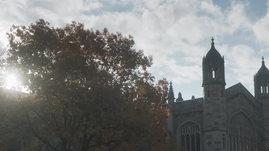 Sun shining over a church and tree