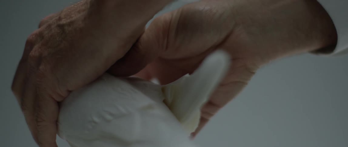 Hands holding a white bird