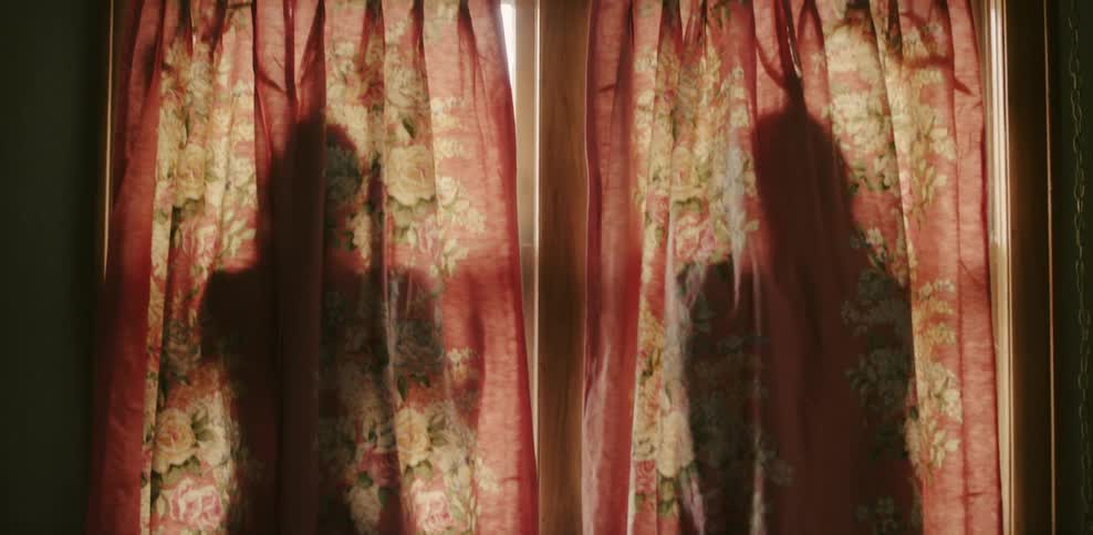Two women are standing behind curtains indoors