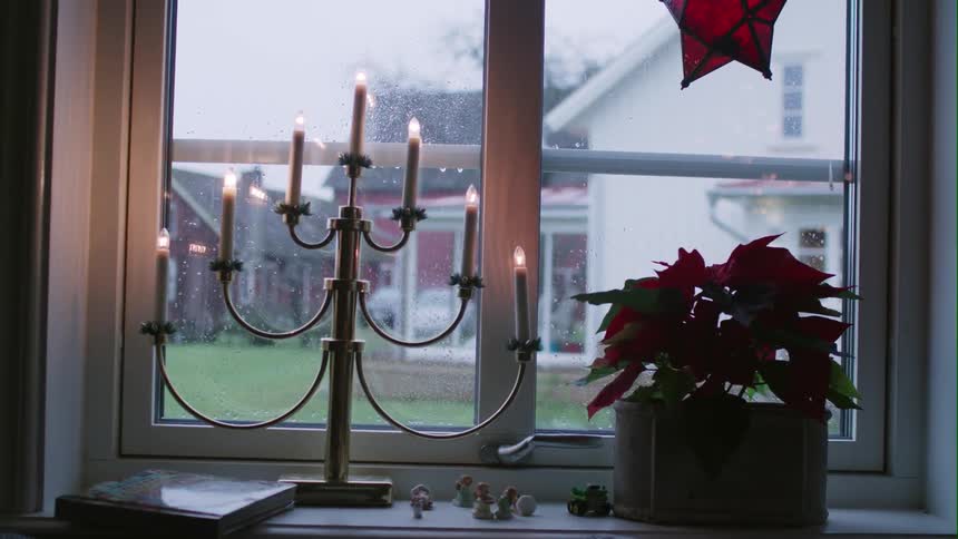 A plant is near the window