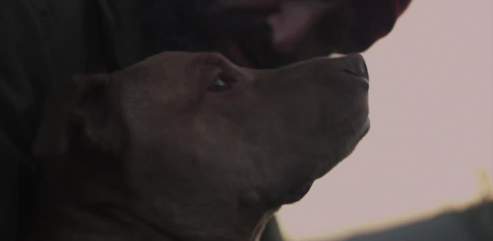 Bearded man looks around and pets a dog
