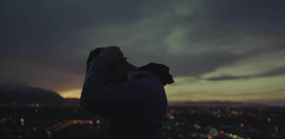 Silhouette of a person covering head with hands overlooking a city