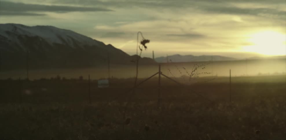 The sun sets over a field