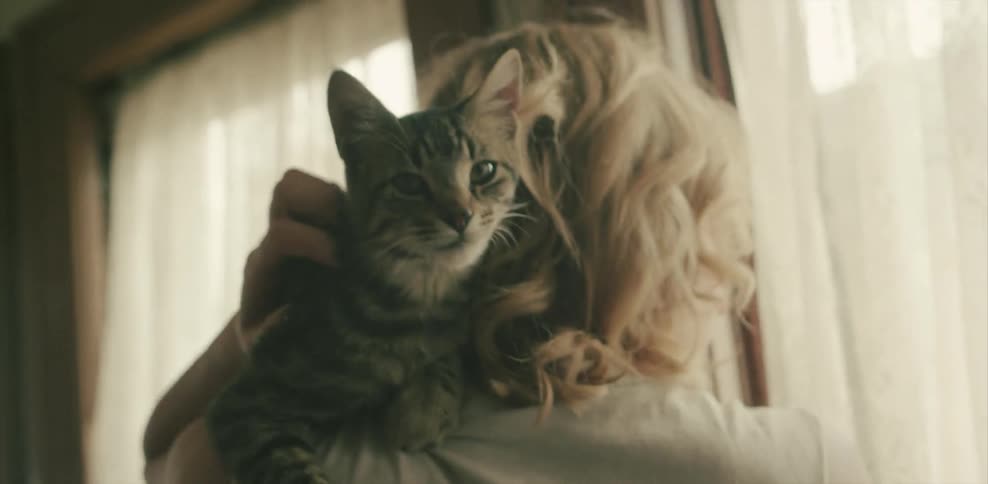 A cat sits on the shoulder of a woman