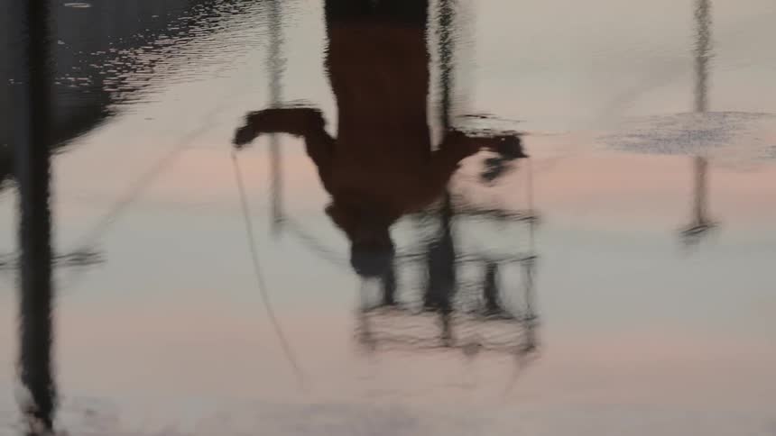 A person jumping rope and power lines are reflected in a street puddle