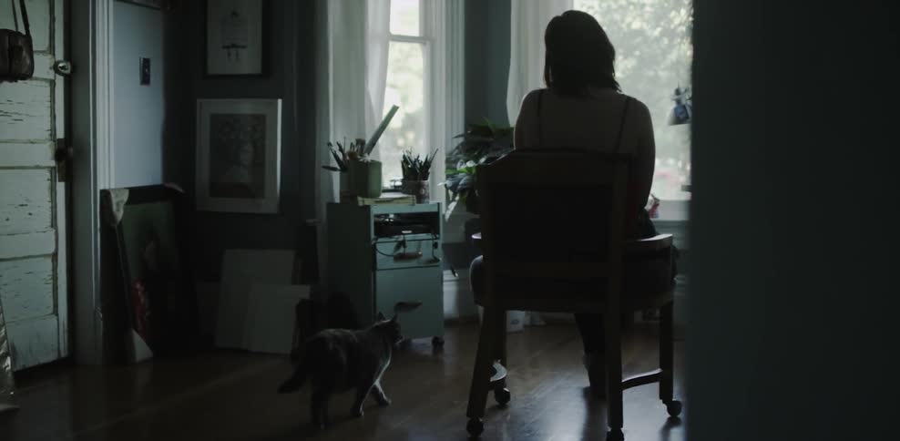 A cat walks up to a woman in a chair