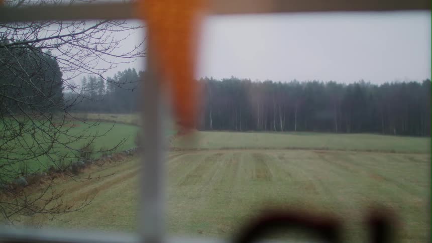 Outside the window is a long green field