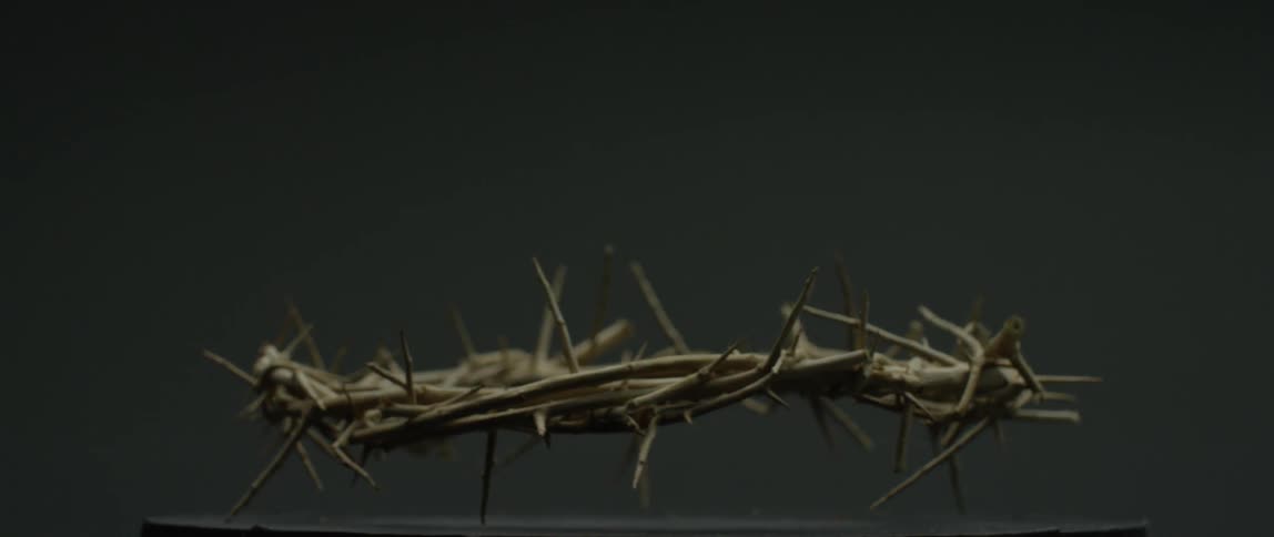 Thorny branches twisted into a circle