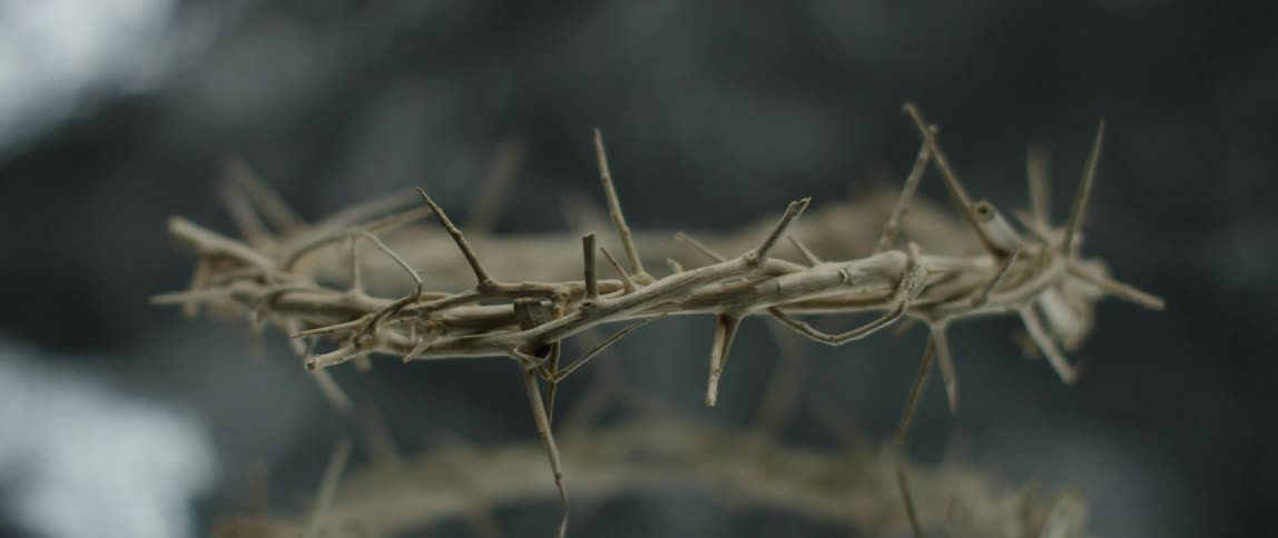 Close up of thorny branches forming a crown