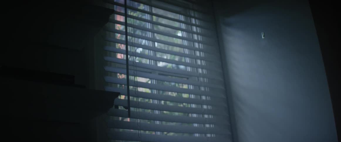 Sunlight shining through window blinds