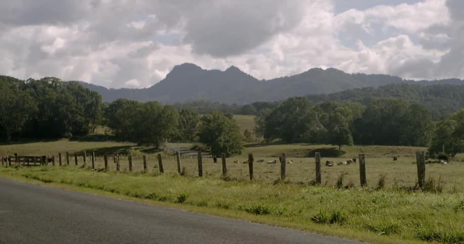 Clouds hang above a mountain and trees in a field
