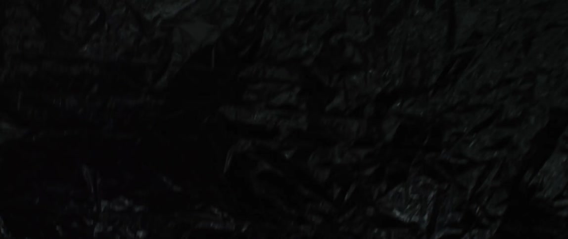 A garbage bag moves