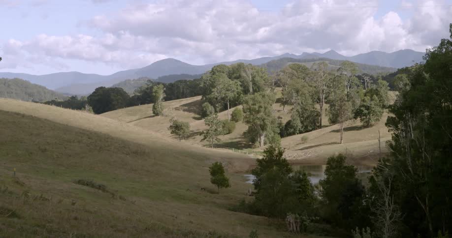 View of trees on a hillside on a cloudy day