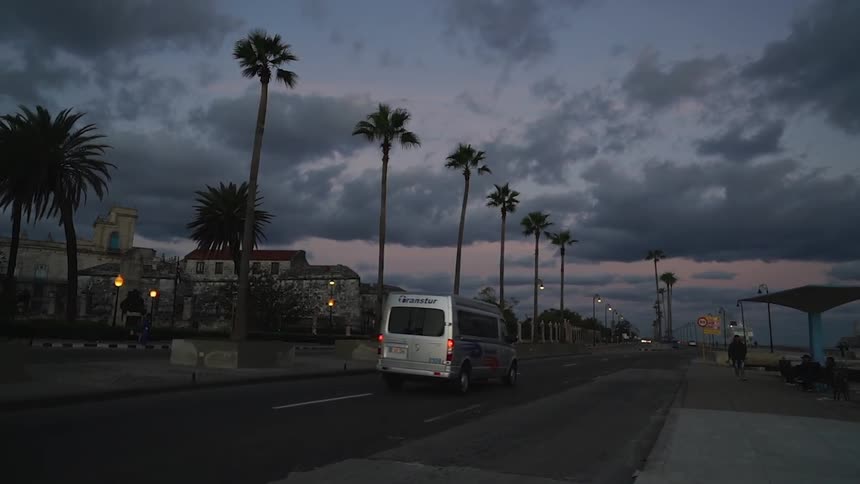Palm trees tower into the sky in front of buildings as a van passes by