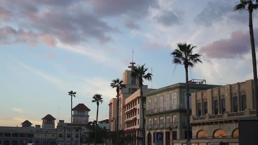 The tall building has palm trees in front