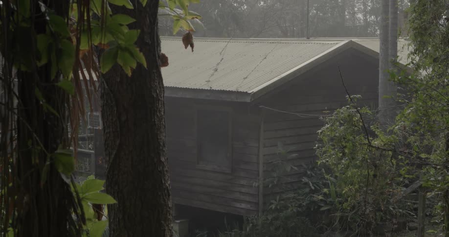 A damaged wooden house surrounded by trees