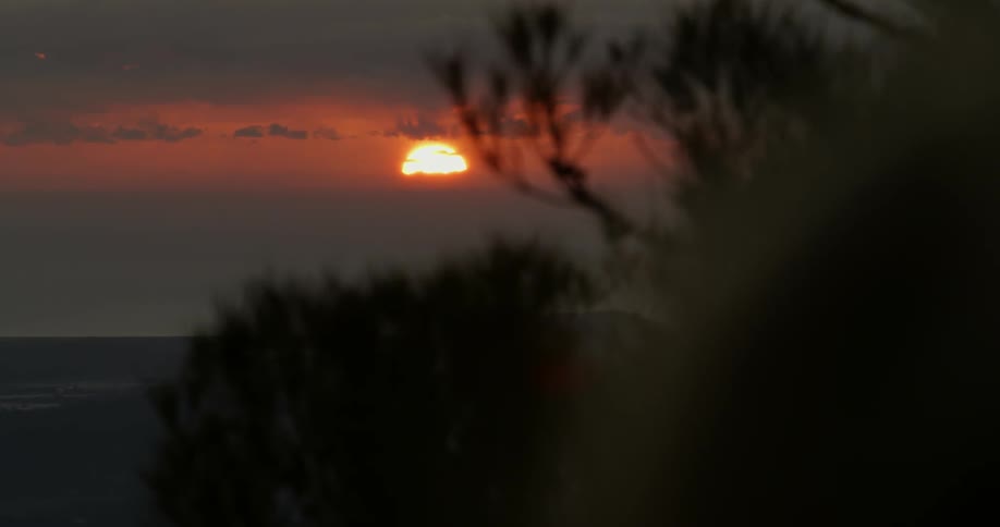 The wind blows through bushes as the sun sets in the distance