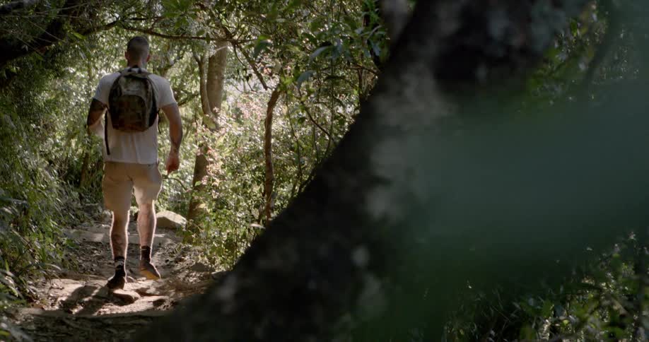 A hiker jogs in a forest on a sunny day