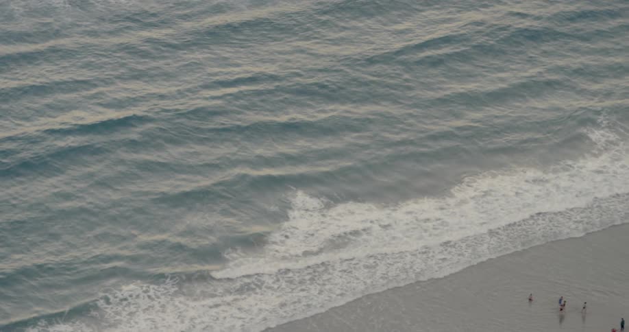 Birds walk along the shore as waves crash