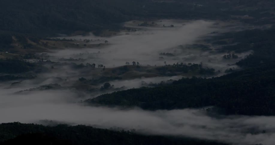 Fog hangs above trees in a canyon
